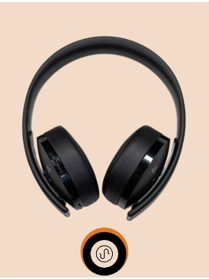 Black JBL Headphone